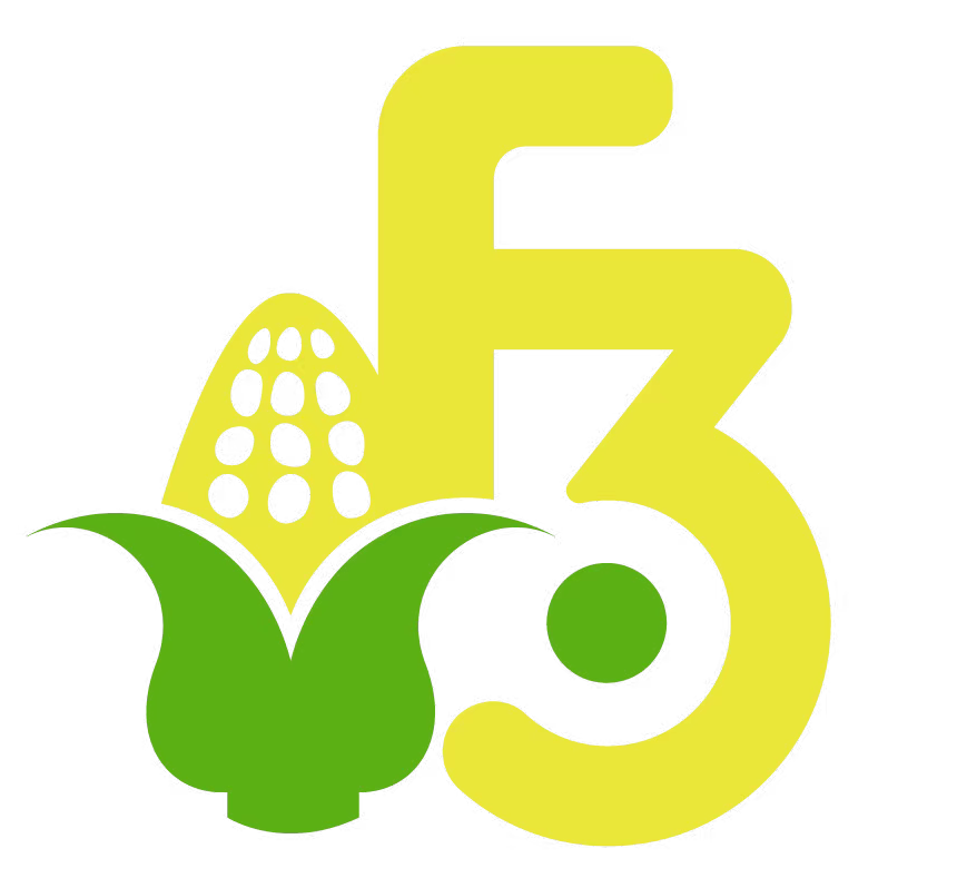 F3 Theme Park