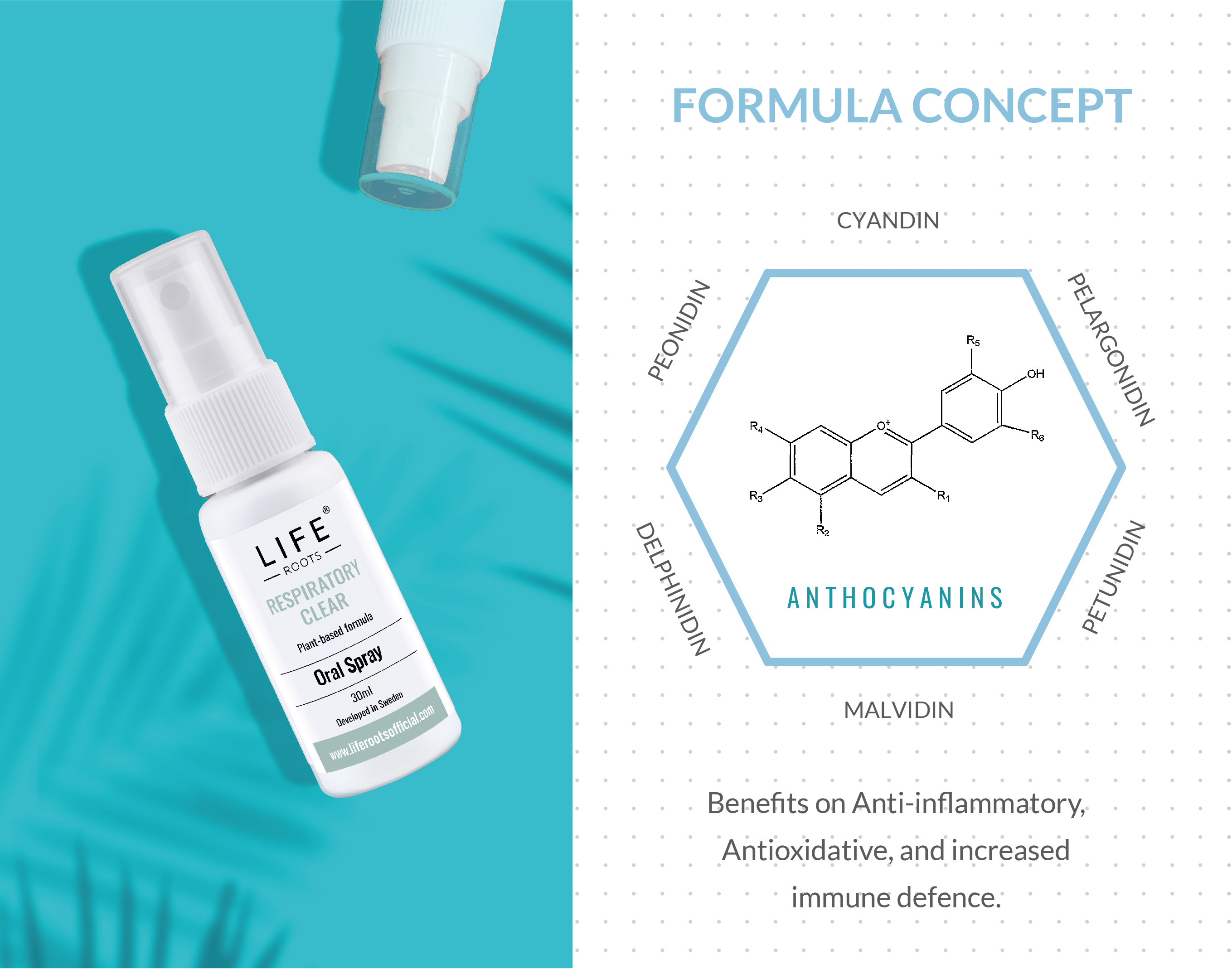 1694655245357161.jpg Formula-concept-01.jpg