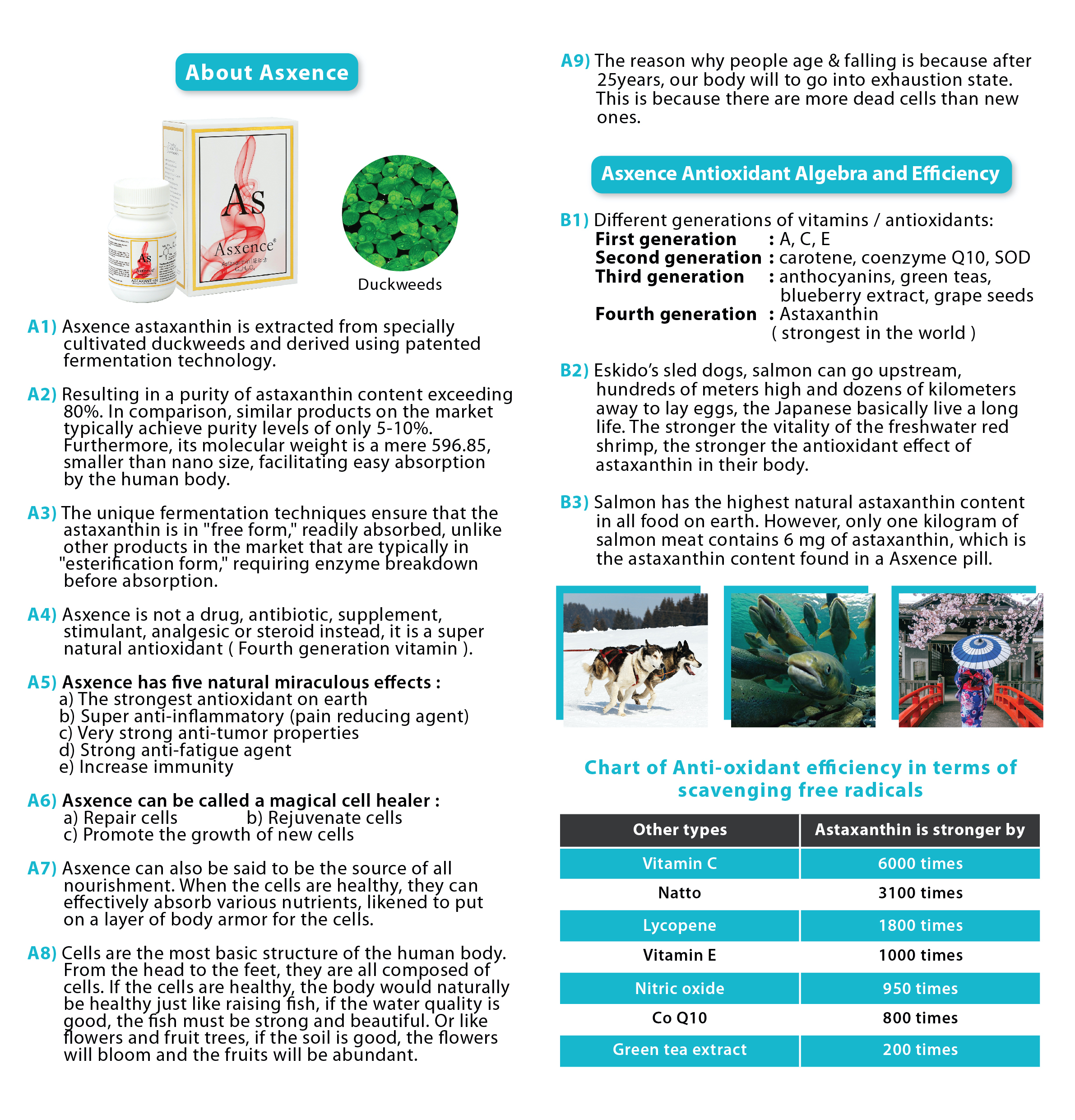 Asxence leaflet-5 english ver3 ref0005-02.jpg