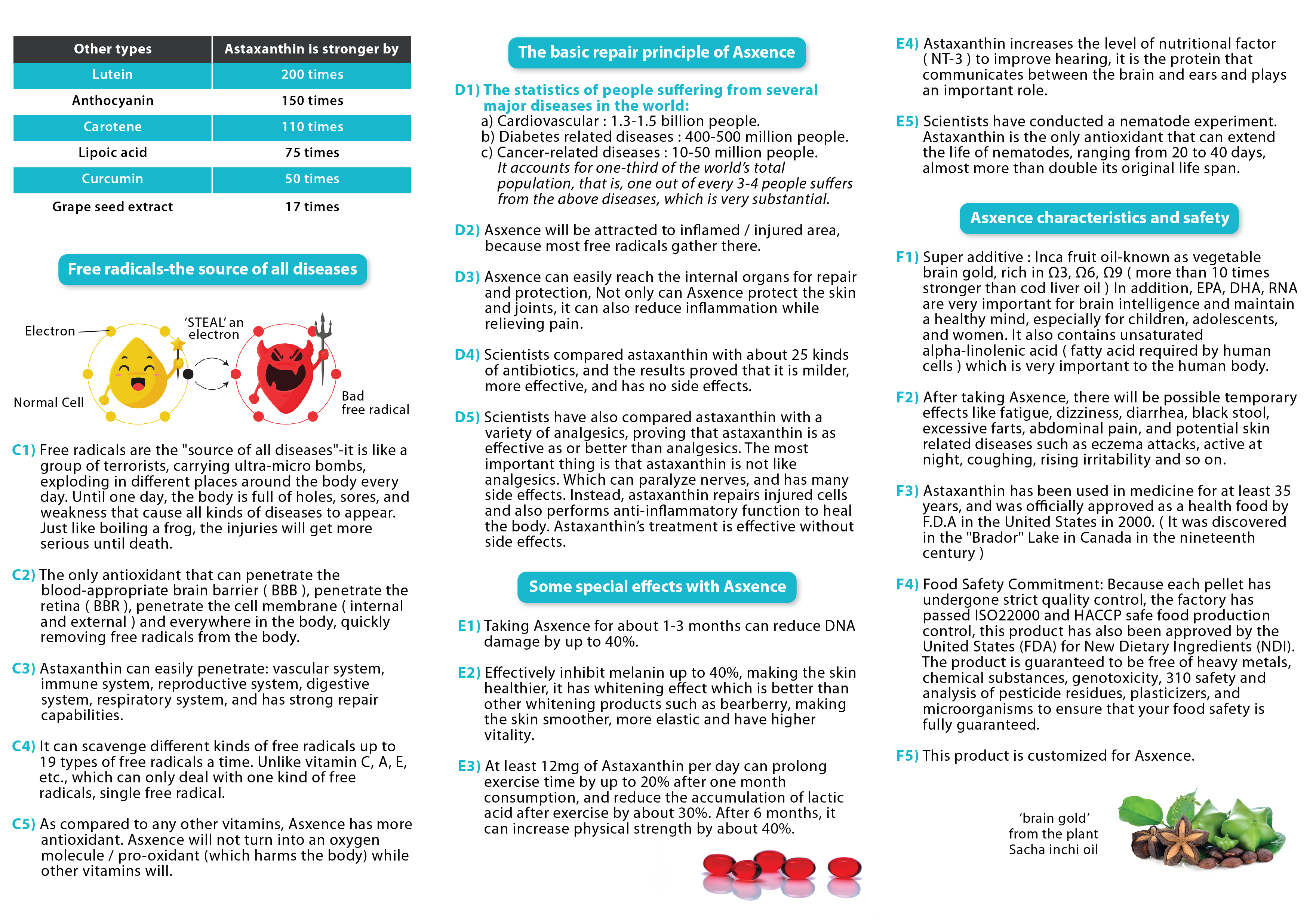 Asxence leaflet-5 english ver3 ref0005-02.jpg