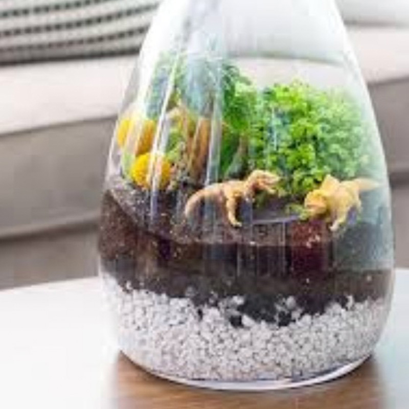 Party Fans - DIY Terrarium Workshop Package