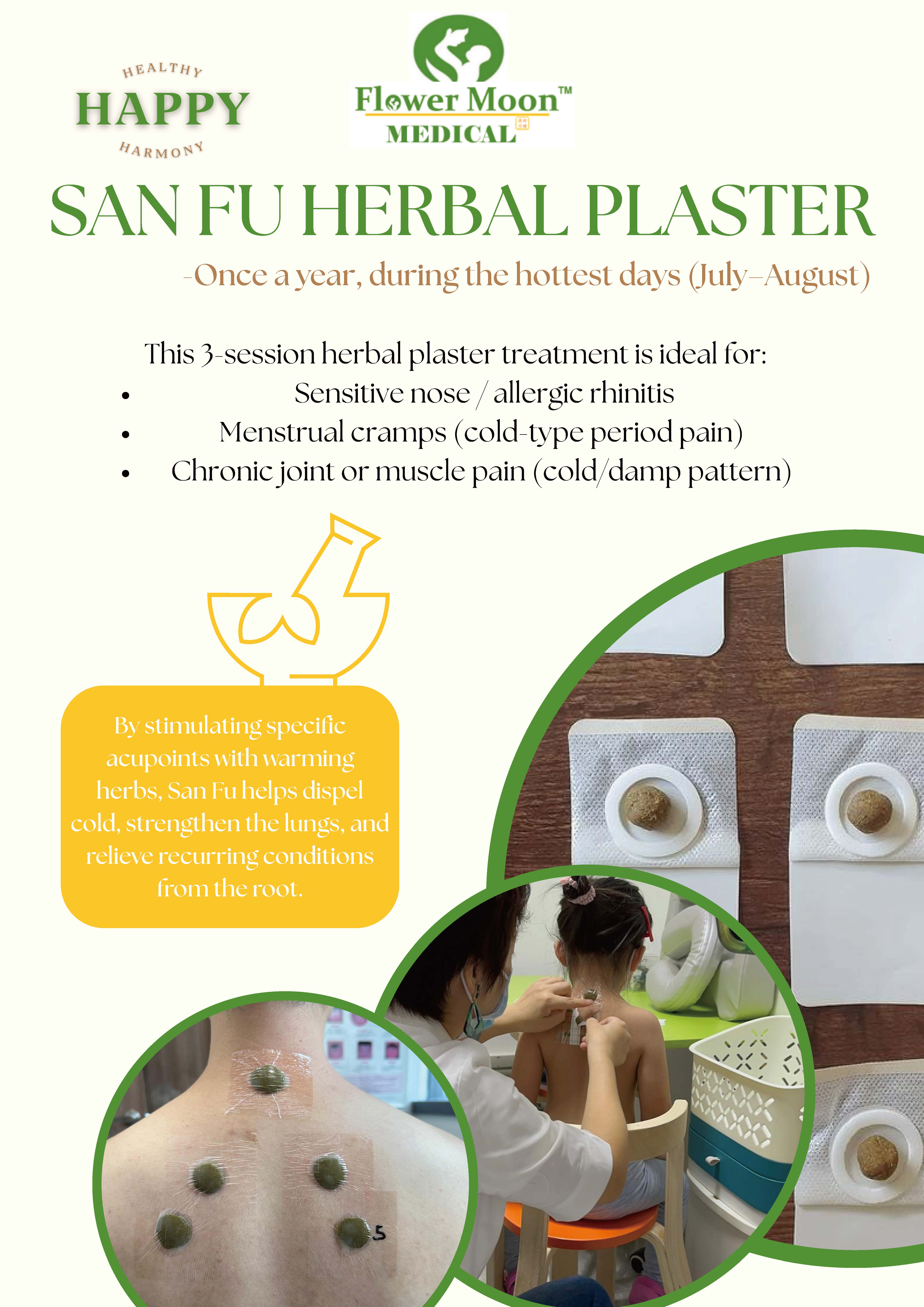 Green and Cream Simple Gardening Service Poster (1)_页面_02.jpg