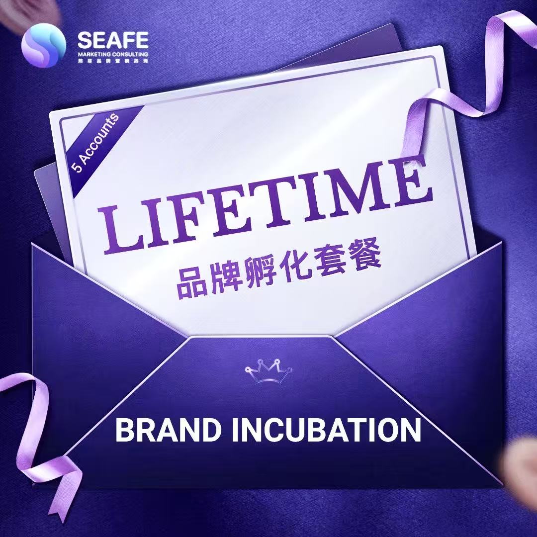SEAFE Lifetime Brand Incubation Marketing Package 永久会员配套