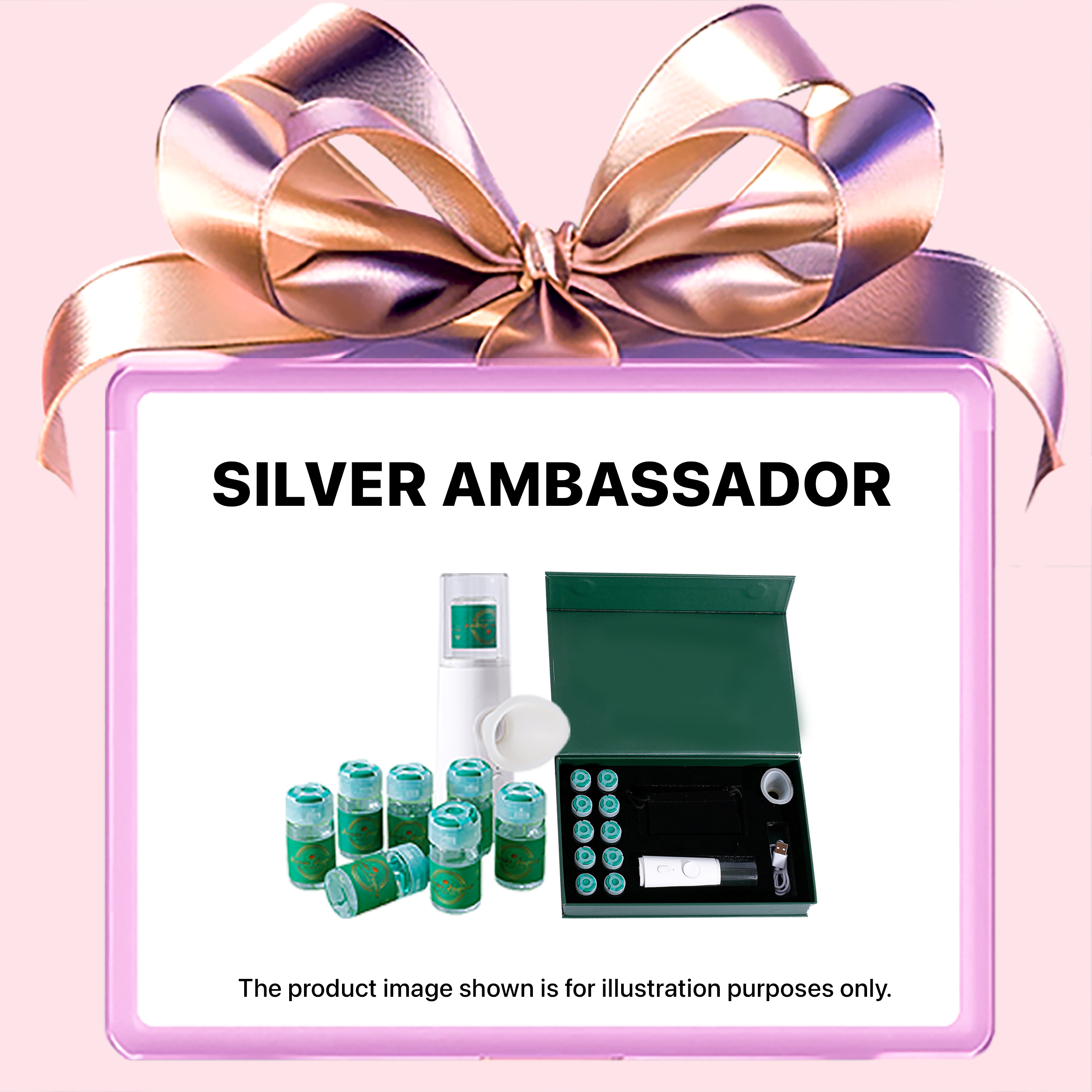 SEAFE Shop Silver Ambassador System