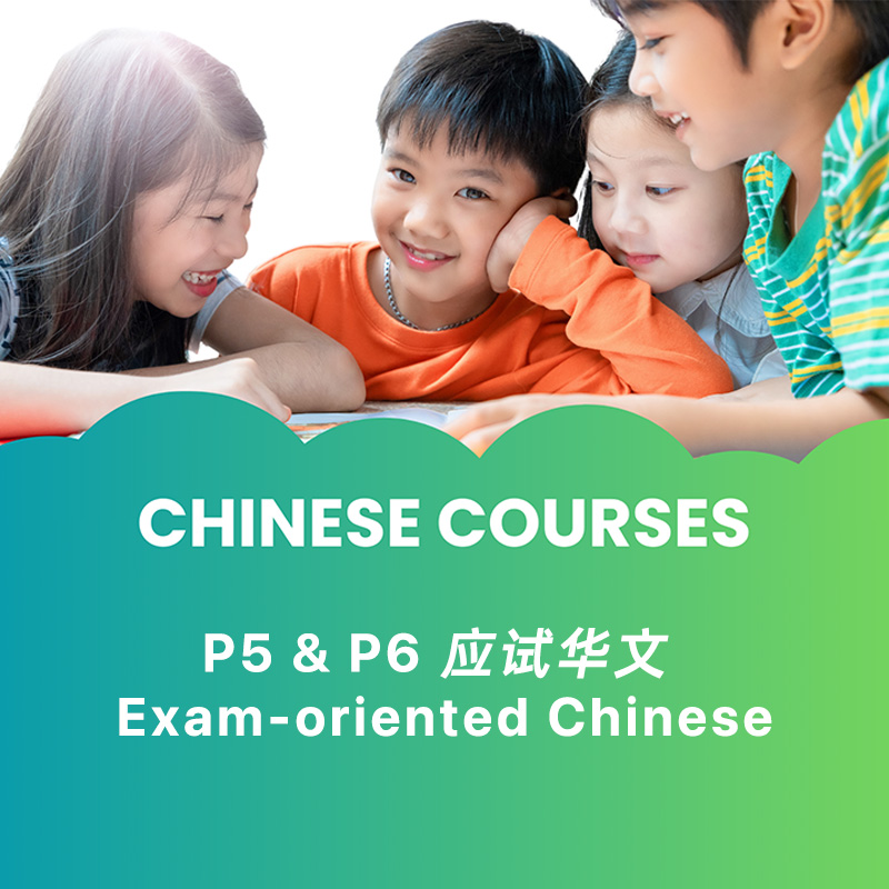 Brainywave Lab - Exam-oriented Chinese (P5 and P6)