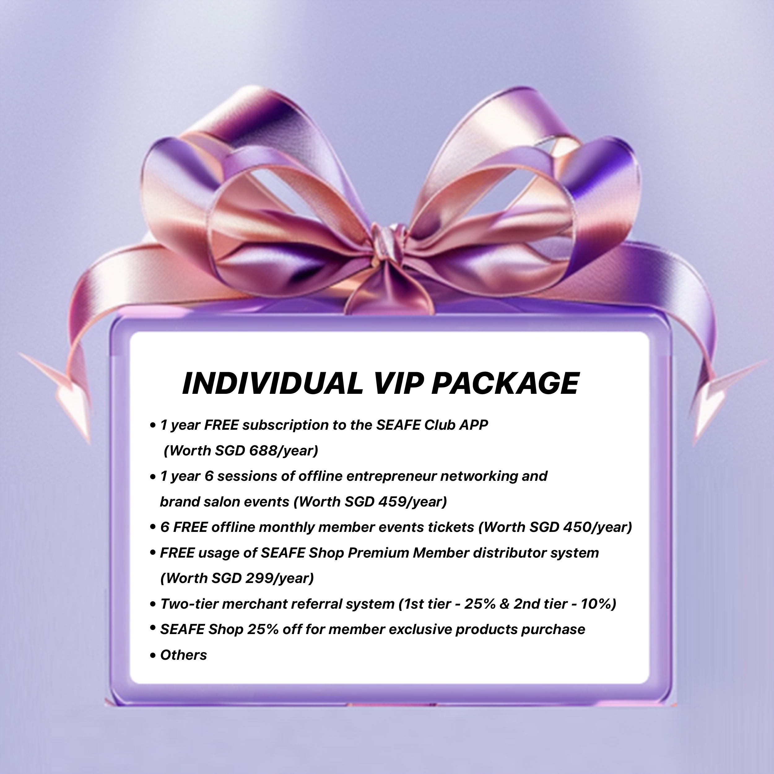 SEAFE Individual Marketing Package 个人VIP配套