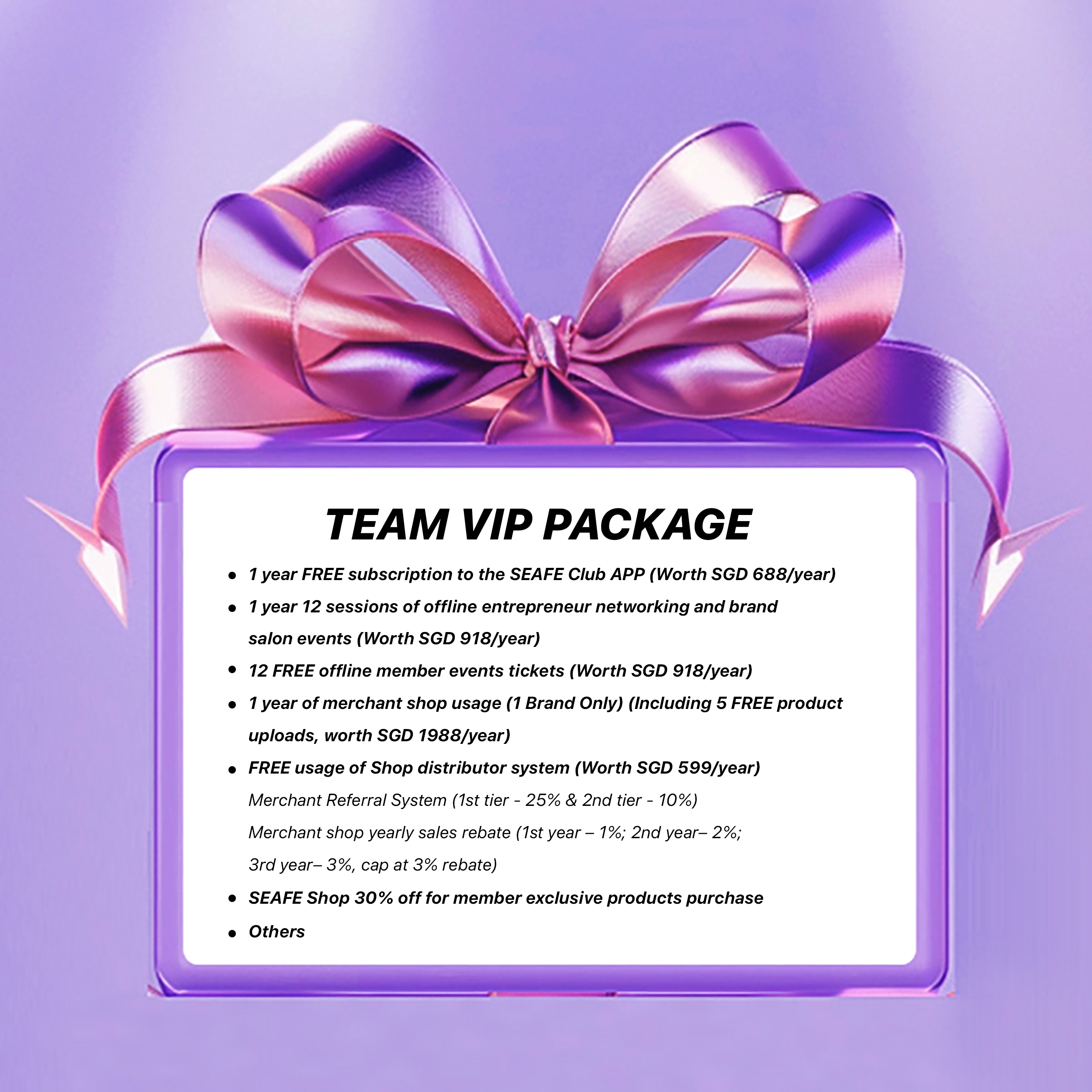 SEAFE Team Marketing Package 团队VIP配套