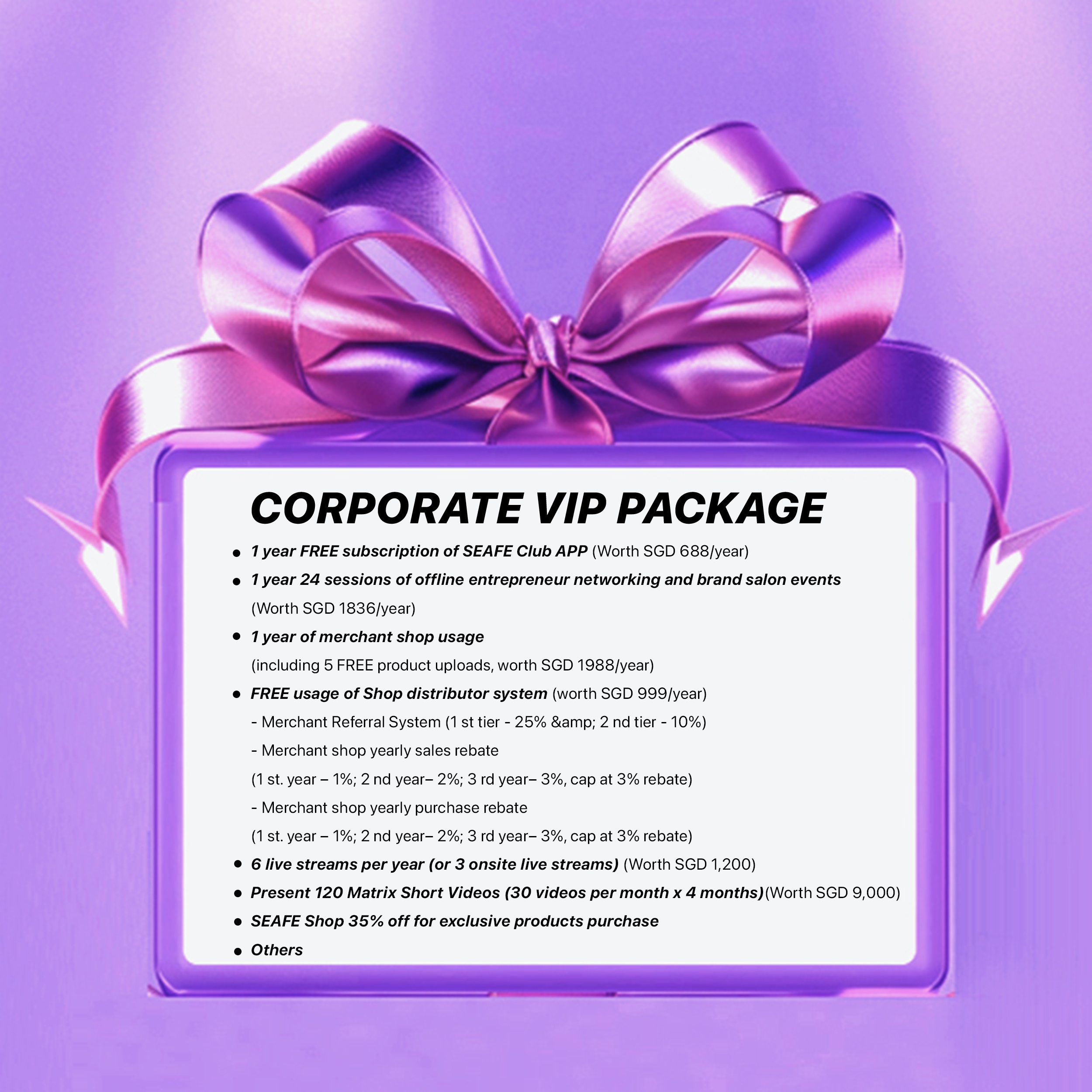 SEAFE Corporate VIP Marketing Package 企业VIP配套