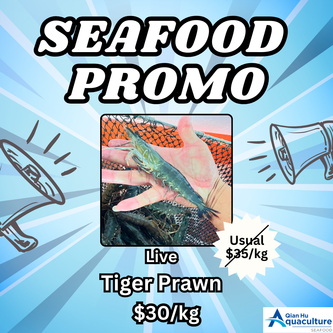 Qian Hu Fish Farm - Live Tiger Prawn