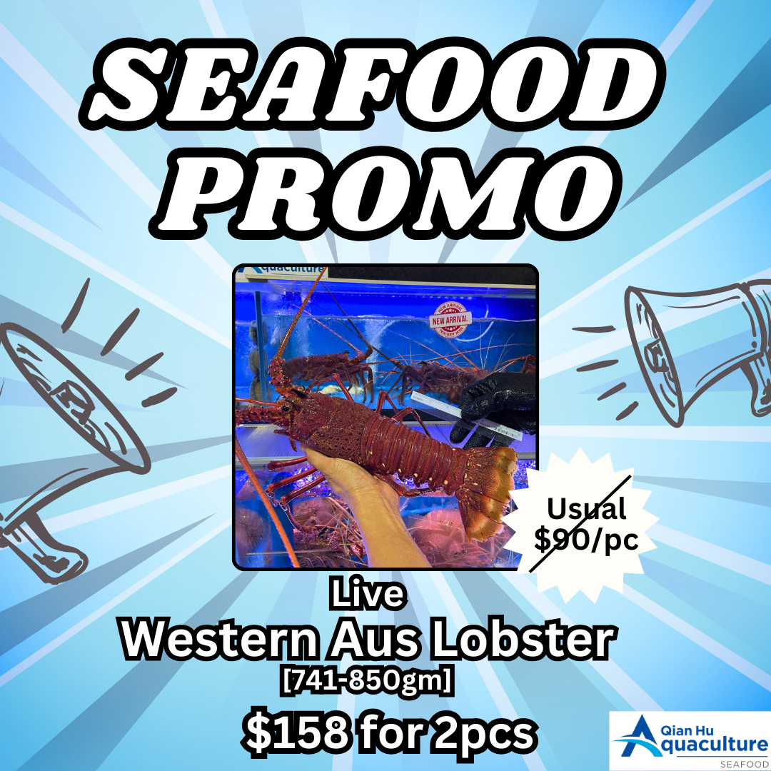Qian Hu Fish Farm - For 2 - Live Western Aus Lobster (741-850gm)