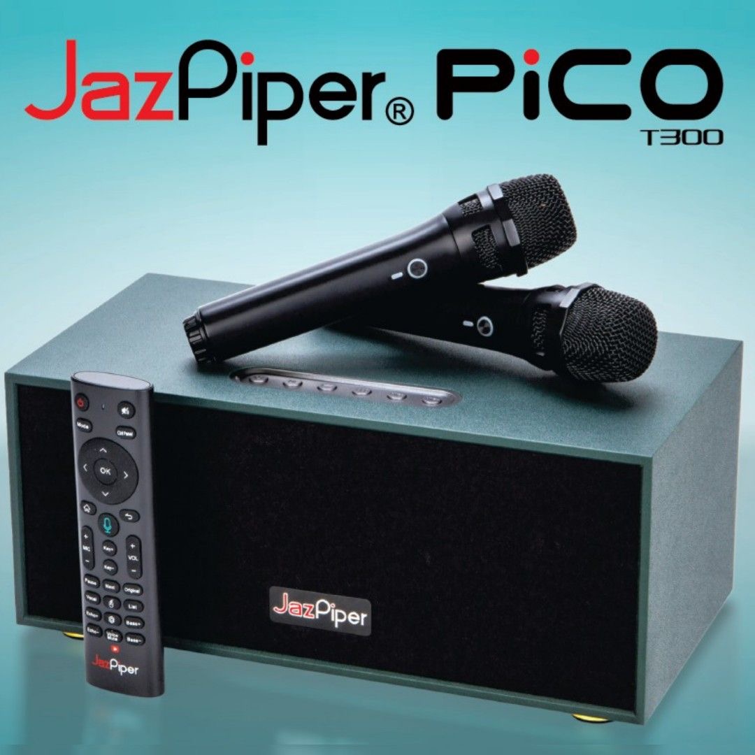 ZIMING GLOBAL - Jazpiper Pico T300 Portable Karaoke System Family home karaoke system