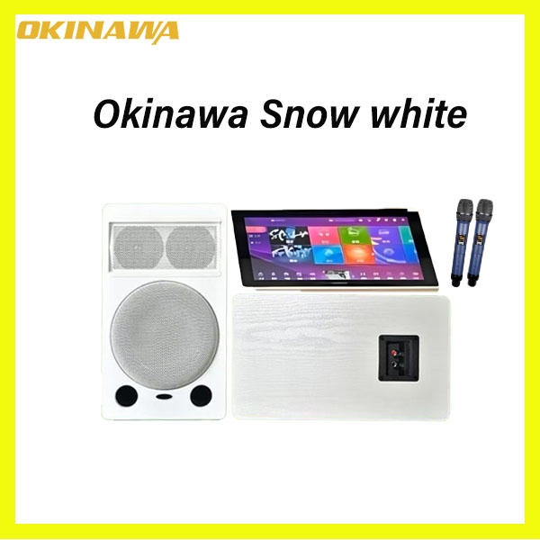 ZIMING GLOBAL - Okinawa Snow White Home Karaoke System